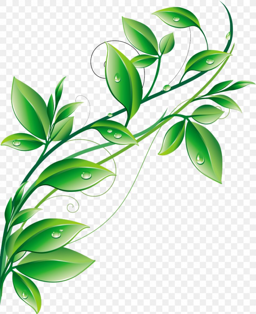 Vector Graphics Illustration Clip Art Stock Photography Design, PNG, 879x1080px, Stock Photography, Botany, Branch, Flower, Flowering Plant Download Free