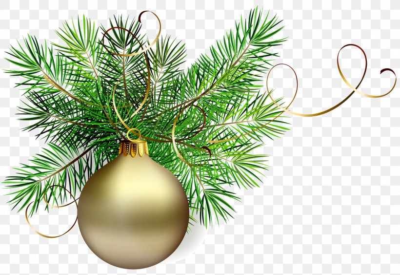 Christmas Ornament Santa Claus Clip Art, PNG, 1990x1367px, Christmas, Branch, Christmas Decoration, Christmas Lights, Christmas Ornament Download Free