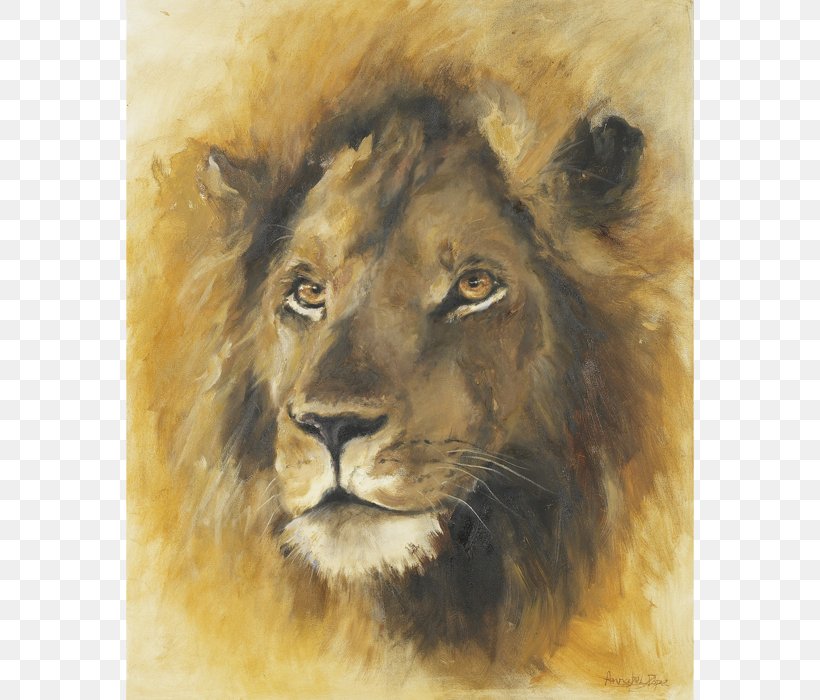 East African Lion Whiskers Watercolor Painting Wildlife Fauna, PNG, 700x700px, East African Lion, Animal, Big Cats, Carnivoran, Cat Like Mammal Download Free