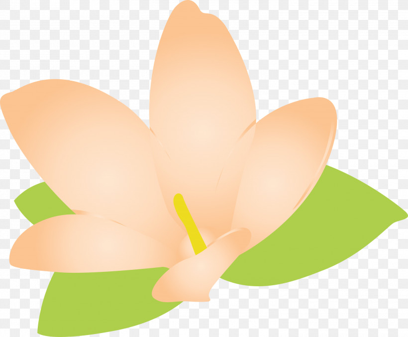 Jasmine Jasmine Flower, PNG, 3000x2477px, Jasmine, Butterflies, Flower, Hm, Jasmine Flower Download Free