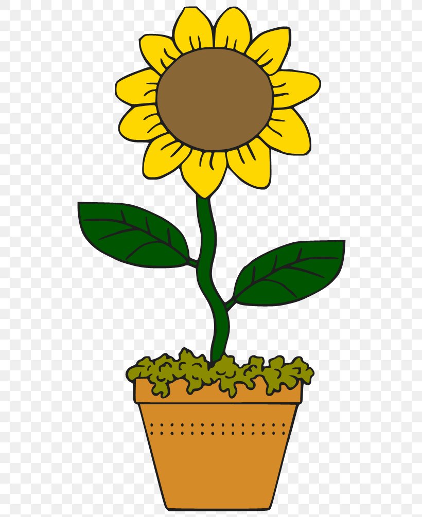 Common Sunflower Cartoon Drawing Clip Art, PNG, 544x1005px, Common Sunflower, Animation, Artwork, Black And White, Cartoon Download Free