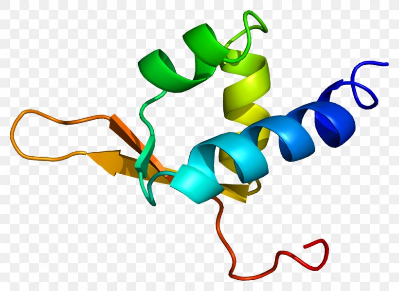DDEF1 Gene Pleckstrin Homology Domain SH3 Domain Protein, PNG, 997x728px, Watercolor, Cartoon, Flower, Frame, Heart Download Free