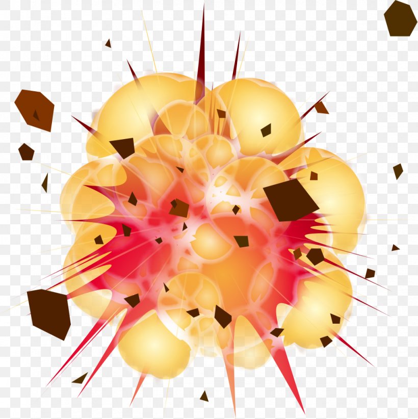 Explosion Bomb Icon, PNG, 1021x1024px, Explosion, Bomb, Flower, Food, Fruit Download Free