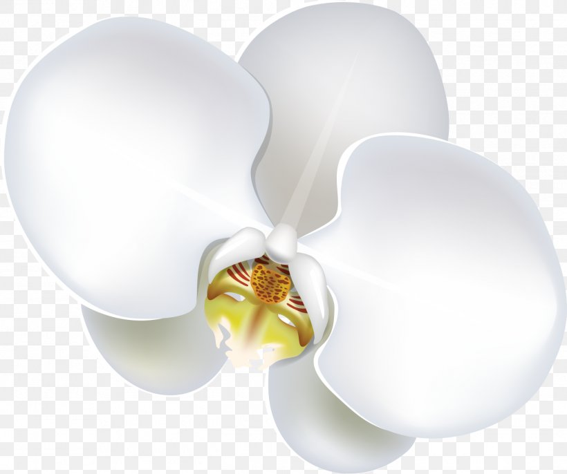 Flower Moth Orchids Lilium Clip Art, PNG, 1448x1212px, Flower, Art, Artificial Flower, Cut Flowers, Flower Bouquet Download Free