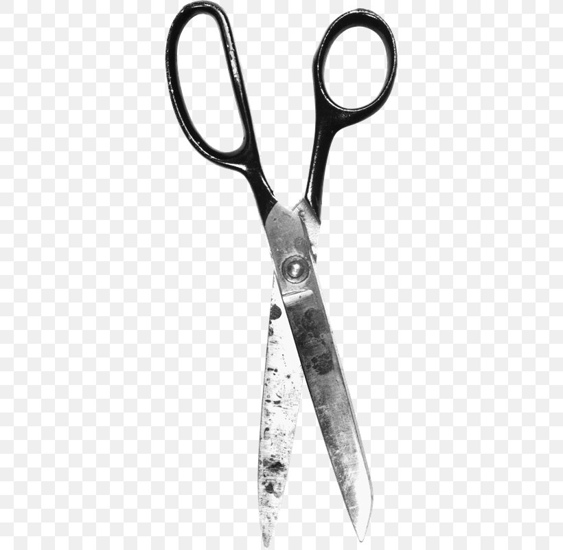 Hair-cutting Shears Clip Art Scissors Image, PNG, 339x800px, Haircutting Shears, Cutting, Hair Shear, Hairdresser, Hardware Download Free