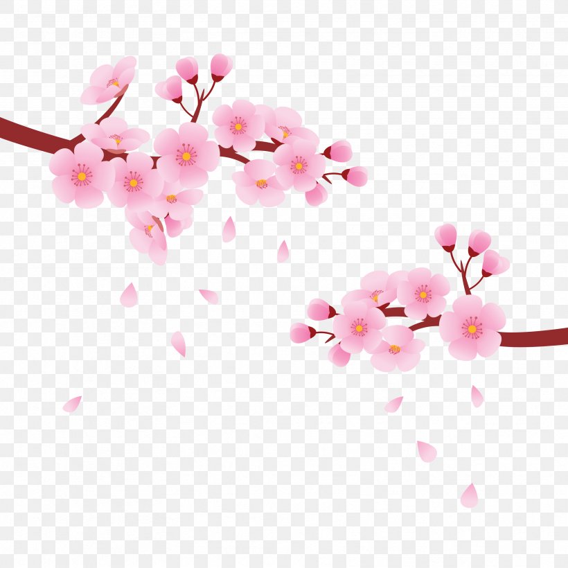 National Cherry Blossom Festival Cerasus, PNG, 3333x3333px, National Cherry Blossom Festival, Blossom, Branch, Cerasus, Cherry Download Free
