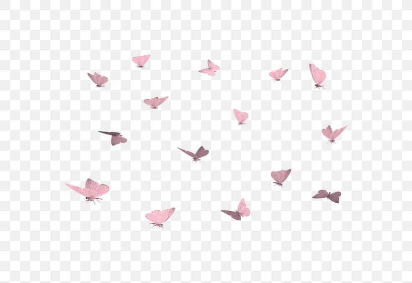 Butterfly Clip Art, PNG, 564x564px, Butterfly, Colias Croceus, Colias Hyale, Flying Butterfly, Heart Download Free