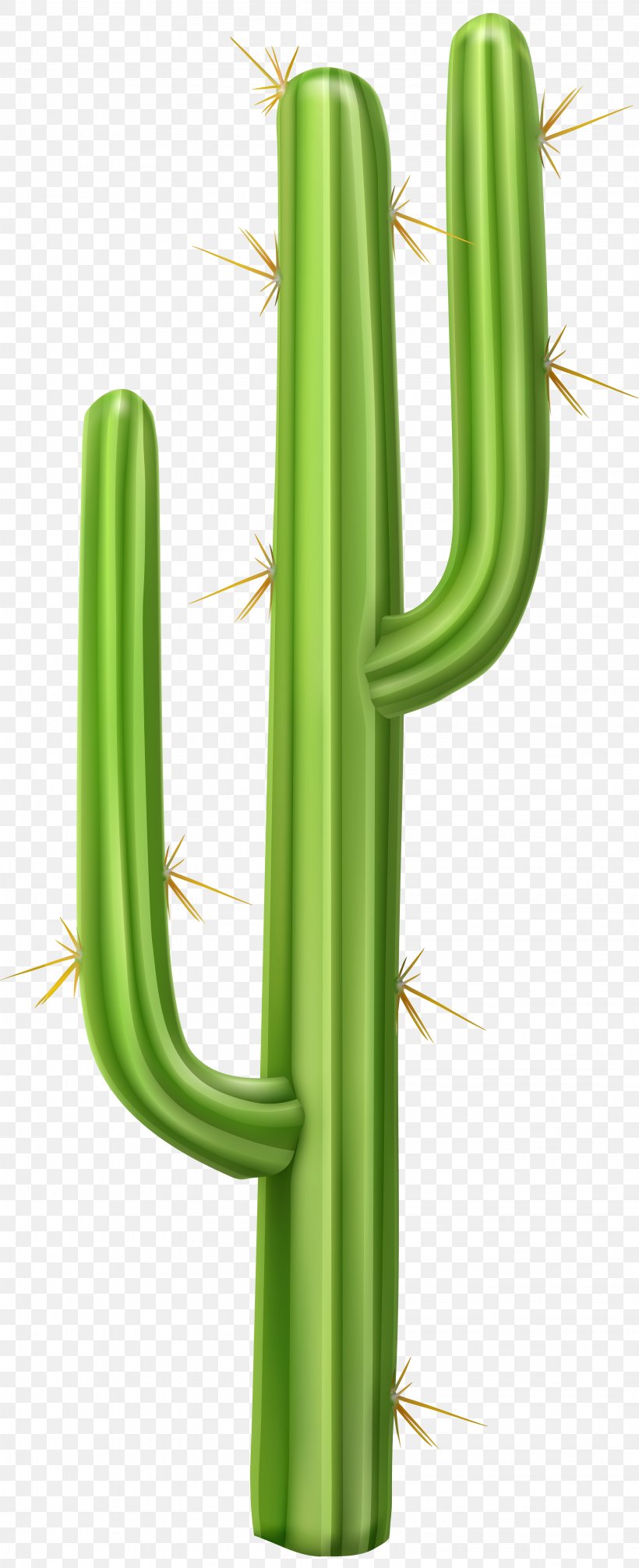 Cactaceae Saguaro Clip Art, PNG, 3259x8000px, Cactaceae, Cactus, Drawing, Grass, Grass Family Download Free