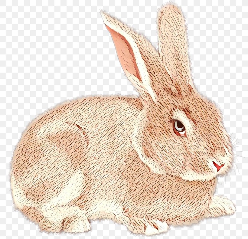 Domestic Rabbit Hare Netherland Dwarf Rabbit Lt. Judy Hopps, PNG, 800x790px, Domestic Rabbit, Animal, Animal Figure, Beige, Brown Hare Download Free