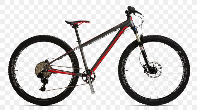 Islabikes GT Bicycles Mountain Bike Cross-country Cycling, PNG, 1600x900px, Islabikes, Automotive Exterior, Automotive Tire, Automotive Wheel System, Bicycle Download Free