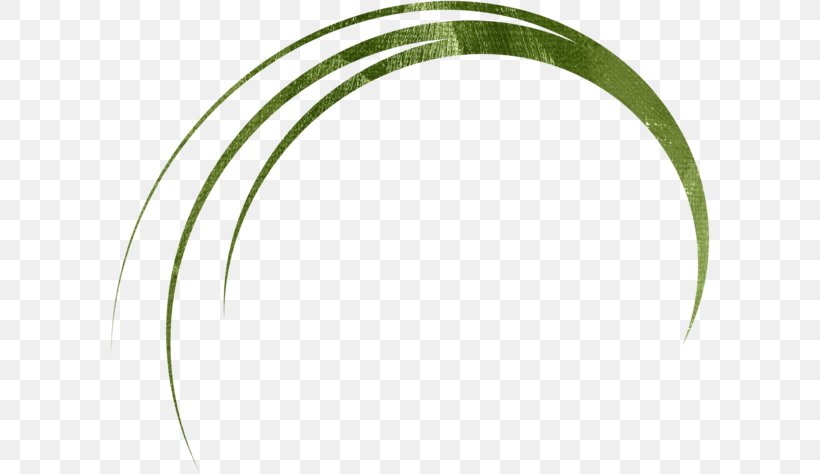 Leaf Circle Angle, PNG, 600x474px, Leaf, Grass, Green, Plant, Plant Stem Download Free