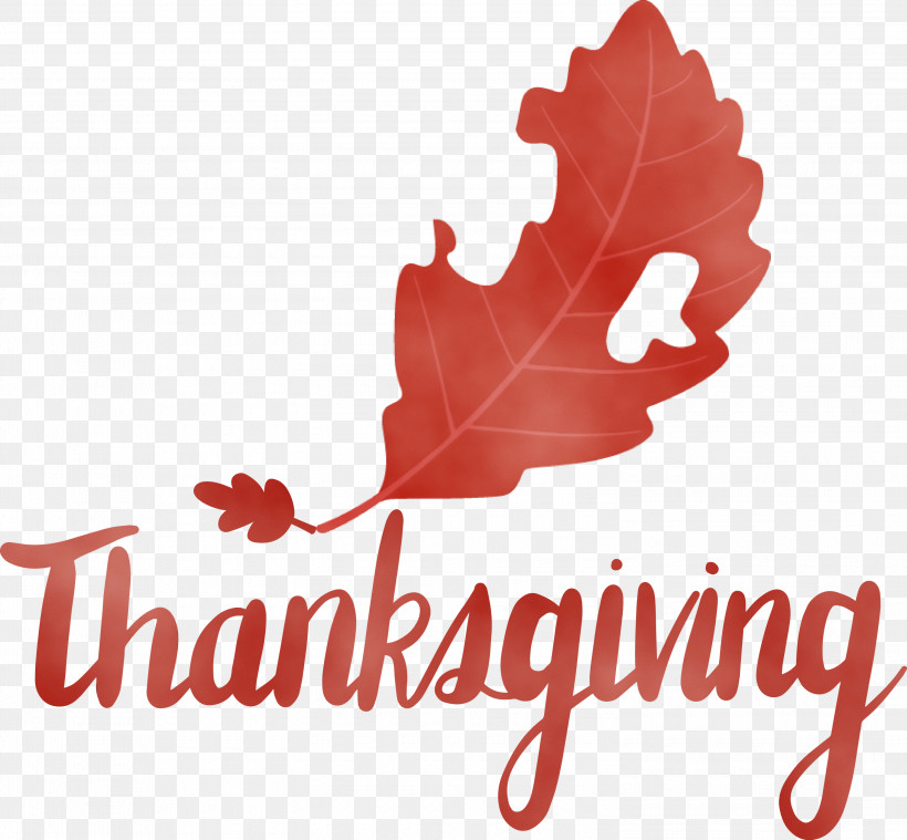 Maple Leaf, PNG, 3000x2779px, Thanksgiving, Biology, Flower, Leaf, Logo Download Free