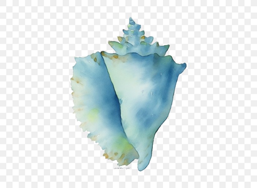 Watercolor Plant, PNG, 600x600px, Watercolor, Blue, Conch, Echeveria, Paint Download Free