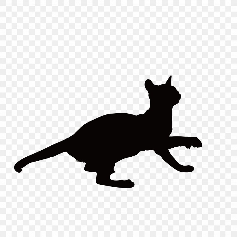 Black Cat Kitten Whiskers Around, PNG, 2083x2083px, Black Cat, Animal, Around, Black, Black And White Download Free