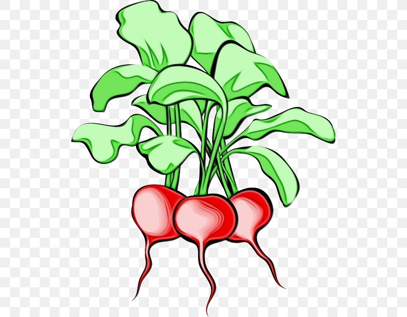 Flower Line Art, PNG, 533x640px, Daikon, Drawing, Flower, Flowerpot, Horseradish Download Free