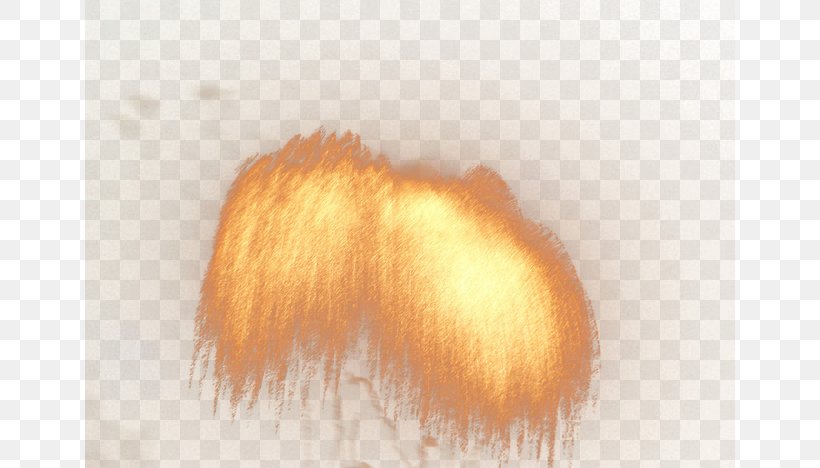 Fur Close-up, PNG, 650x468px, Fur, Closeup, Orange, Tail Download Free