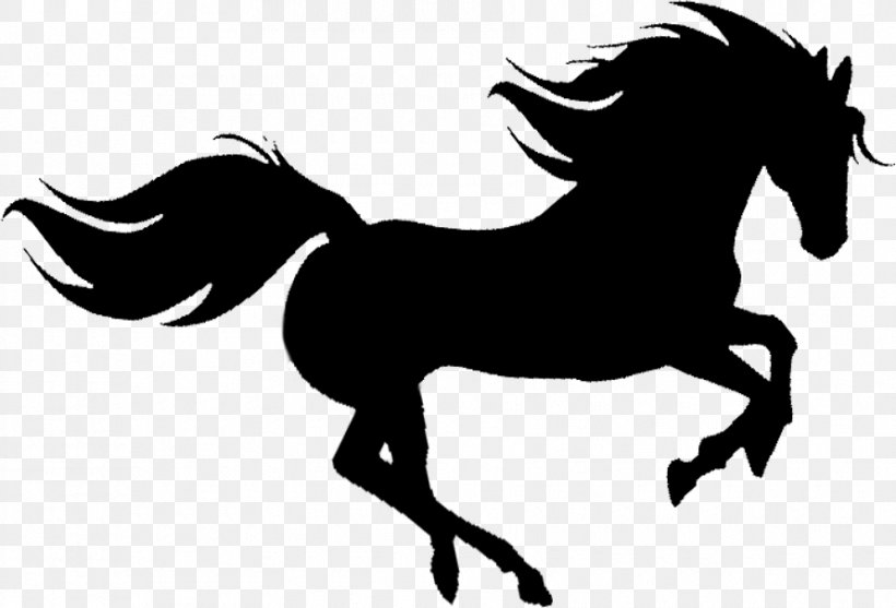 Mustang Silhouette Criollo Paso Fino Stallion, PNG, 890x605px, Mustang, Black, Black And White, Bridle, Colt Download Free