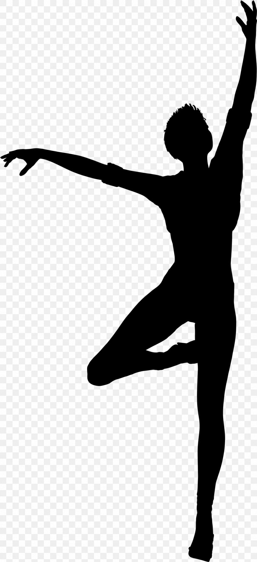 Ballet Dancer Moscow State Academy Of Choreography Silhouette, PNG, 1062x2318px, Watercolor, Cartoon, Flower, Frame, Heart Download Free