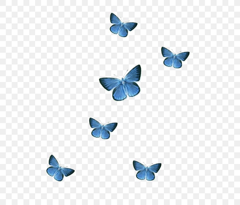 Butterfly Sticker Clip Art, PNG, 700x700px, Butterfly, Animal, Blue, Butterflies And Moths, God Download Free