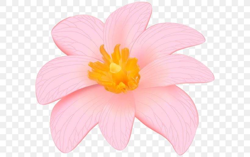 Desktop Wallpaper Pink Flowers Clip Art, PNG, 600x515px, Pink Flowers, Animation, Aquatic Plant, Art, Art Museum Download Free