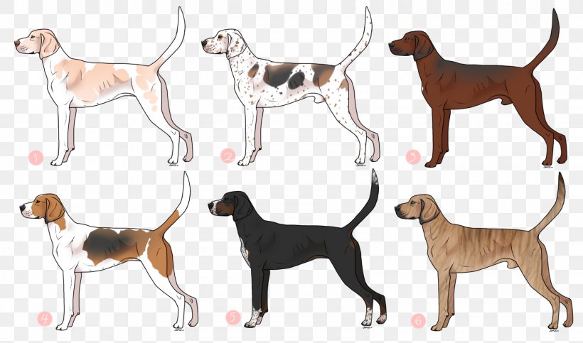Dog Breed English Foxhound American English Coonhound Miniature Pinscher Black And Tan Coonhound, PNG, 1600x943px, Dog Breed, American English Coonhound, Animal Figure, Black And Tan Coonhound, Breed Download Free