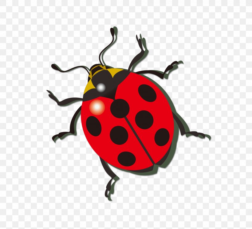 Ladybird Icon, PNG, 1954x1777px, Beetle, Arthropod, Illustration, Insect, Invertebrate Download Free