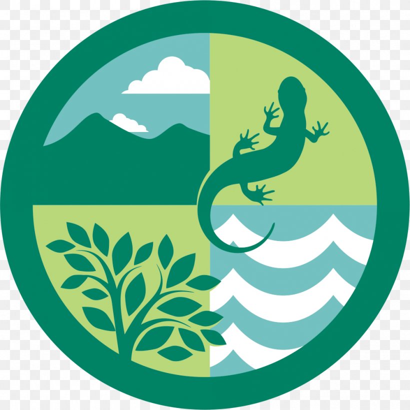 Ecosystem Forest Ecology Logo Natural Environment, PNG, 997x997px, Ecosystem, Area, Artwork, Brand, Environmental Science Download Free
