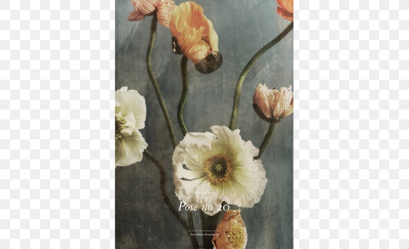 Floral Design Poppy HEIMELIG Shop Number, PNG, 500x500px, Floral Design, Barn, Bloomingville As, Book, Floristry Download Free