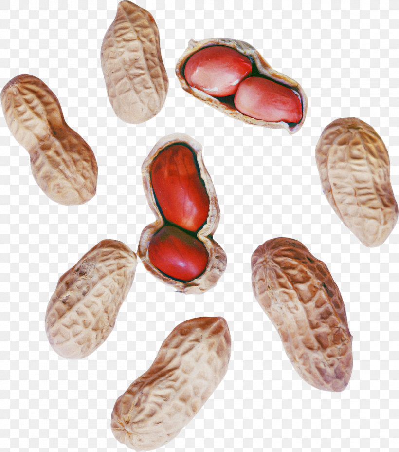 Peanut Commodity Superfood, PNG, 1413x1600px, Peanut, Commodity, Superfood Download Free