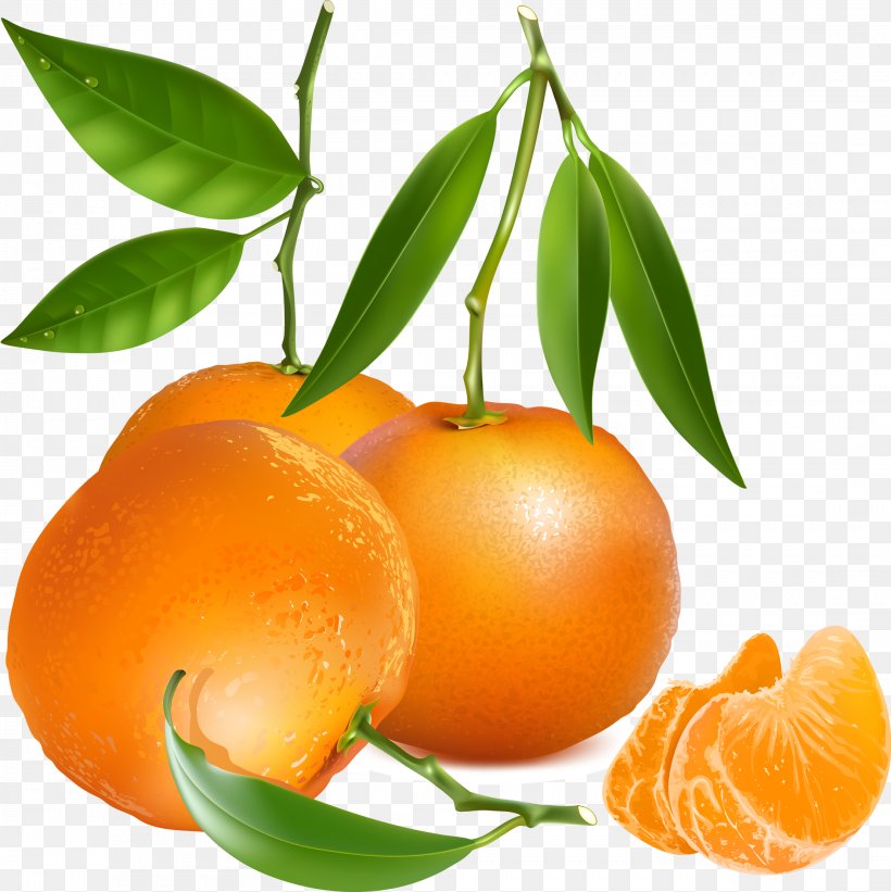 Tangerine Mandarin Orange, PNG, 2214x2219px, Tangerine, Bitter Orange, Calamondin, Chenpi, Citric Acid Download Free