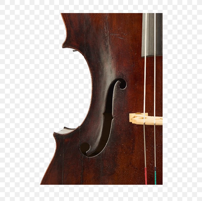 Bass Violin Violone Viola Double Bass Octobass, PNG, 500x816px, Bass Violin, Bass Guitar, Bowed String Instrument, Cello, Double Bass Download Free