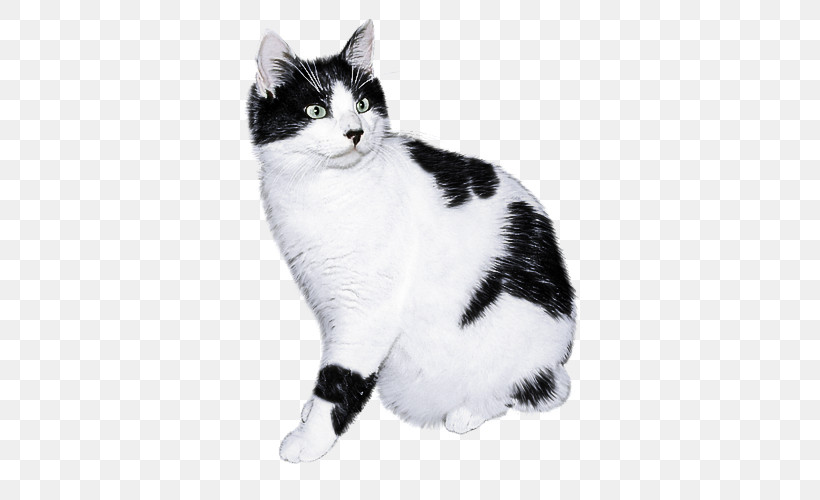 Cat Small To Medium-sized Cats White Whiskers American Wirehair, PNG, 500x500px, Cat, Aegean Cat, American Bobtail, American Wirehair, Blackandwhite Download Free