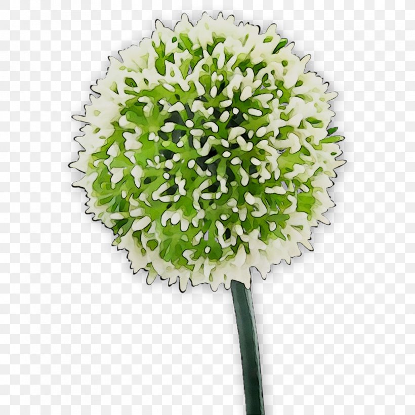 Cut Flowers Flower Bouquet Plant Stem Flowerpot PNG