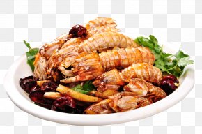 Mantis Shrimp - Mantis Shrimp Malacostraca Seafood Bathysquilloidea PNG