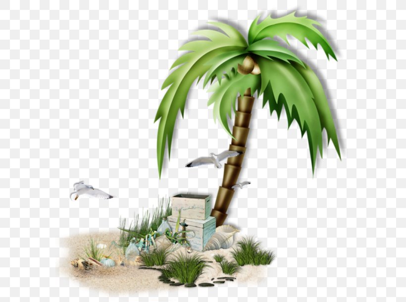 Arecaceae Sea Coconut Tree Clip Art, PNG, 600x610px, Arecaceae, Arecales, Breaking Wave, Cartoon, Coconut Download Free
