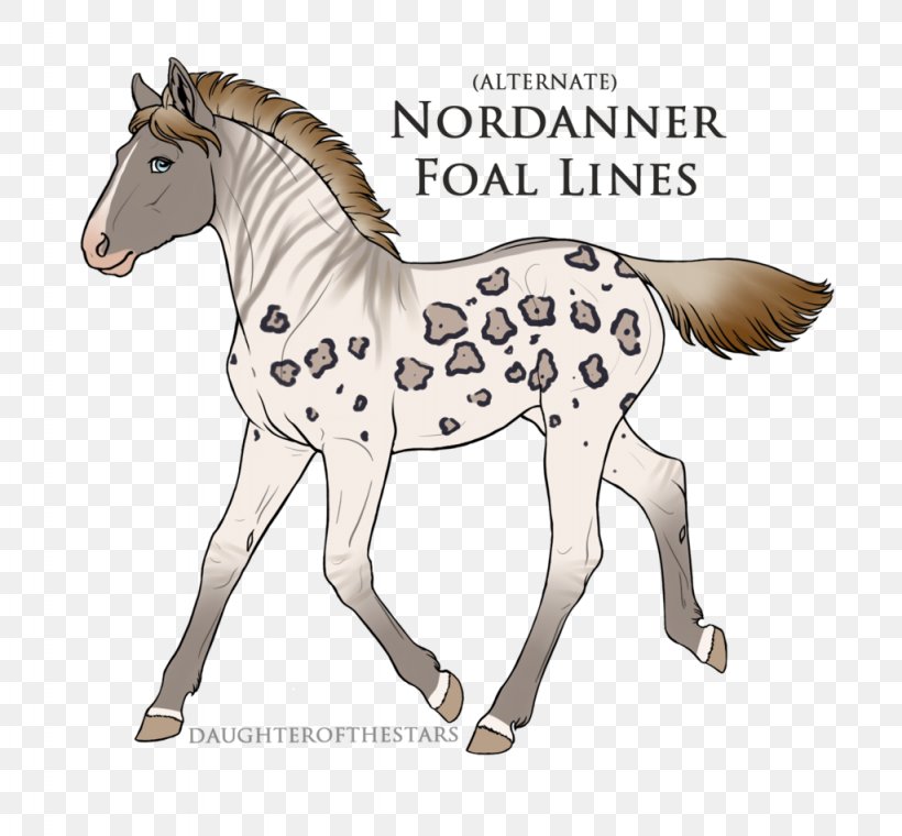 Mane Mustang Foal Stallion Colt, PNG, 1024x950px, Mane, Animal Figure, Bridle, Colt, Foal Download Free