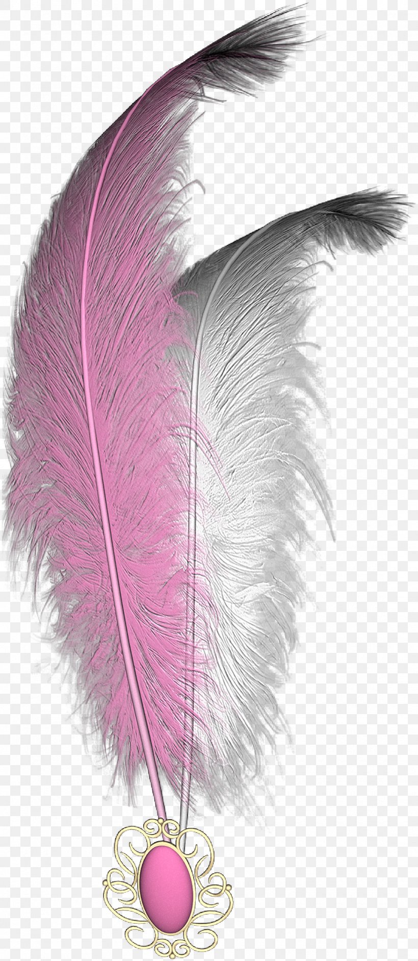 Clip Art, PNG, 1100x2528px, Feather, Pink, Quill, White Feather, Wing Download Free