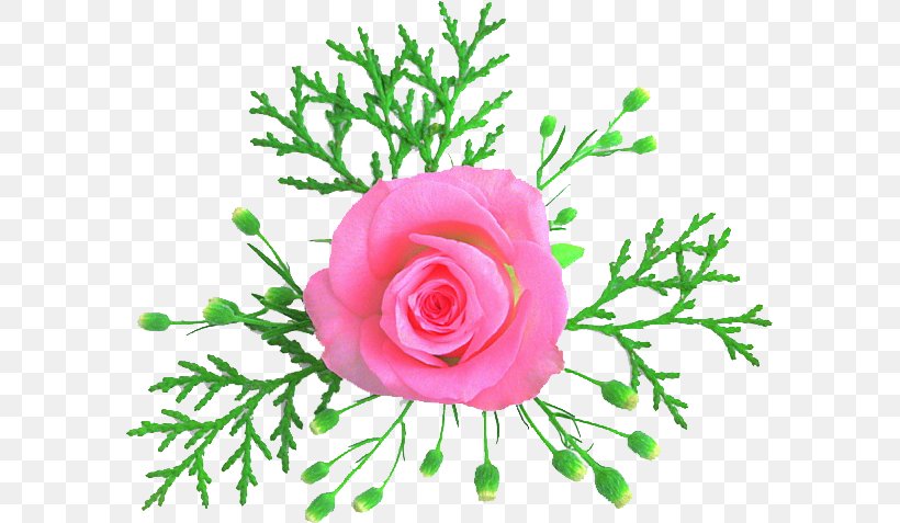 Cut Flowers Garden Roses Floral Design Flower Bouquet, PNG, 589x477px, Flower, Cabbage Rose, Cut Flowers, Floral Design, Floristry Download Free