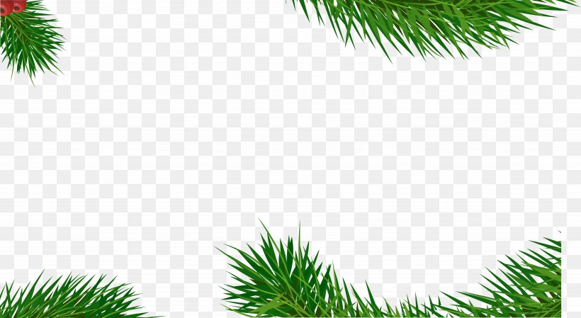 Green Poster, PNG, 4924x2697px, Green, Branch, Conifer, Designer, Evergreen Download Free