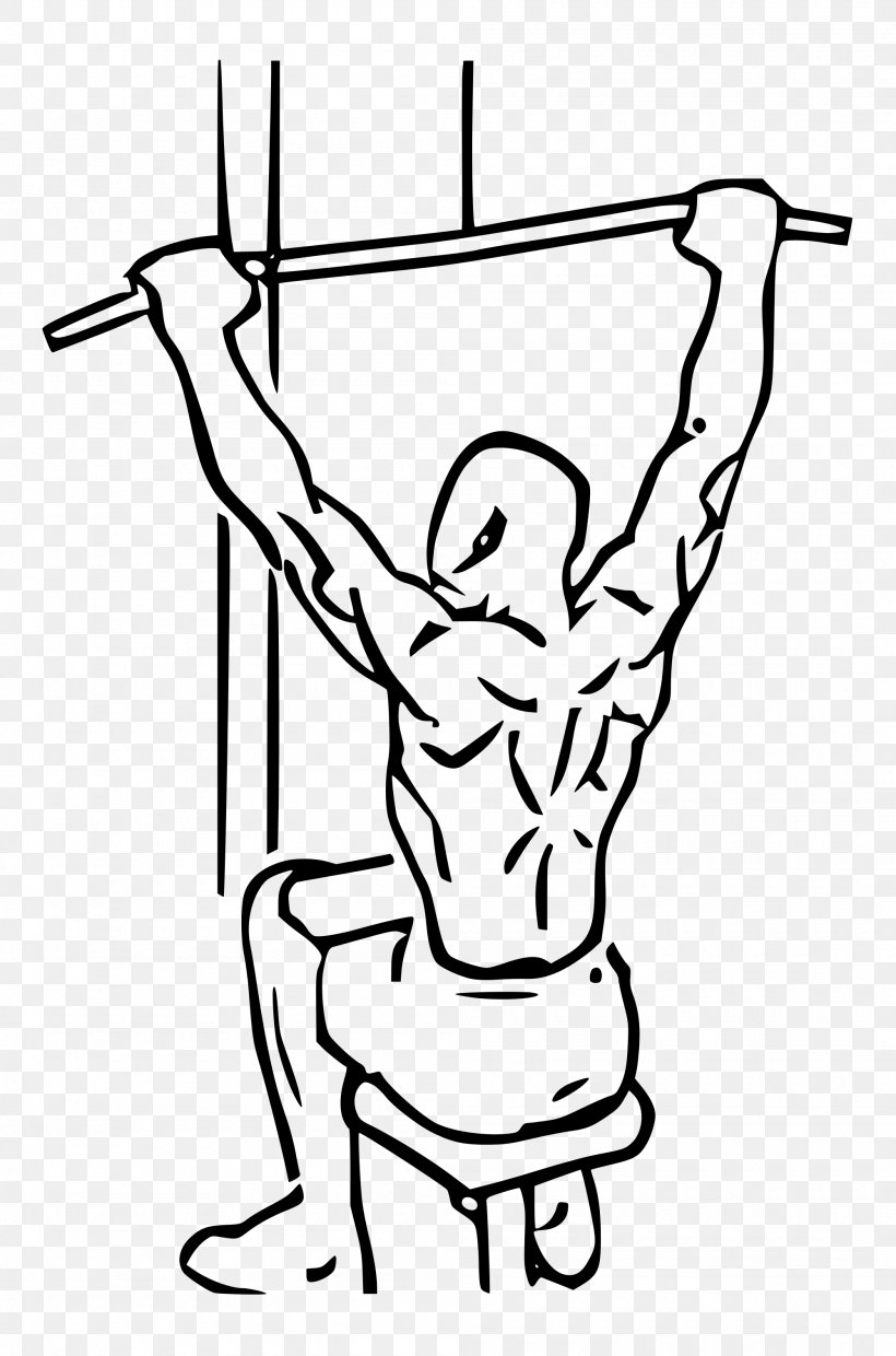 Pulldown Exercise Row Pull-up Latissimus Dorsi Muscle, PNG, 2000x3026px, Pulldown Exercise, Area, Arm, Art, Bench Download Free