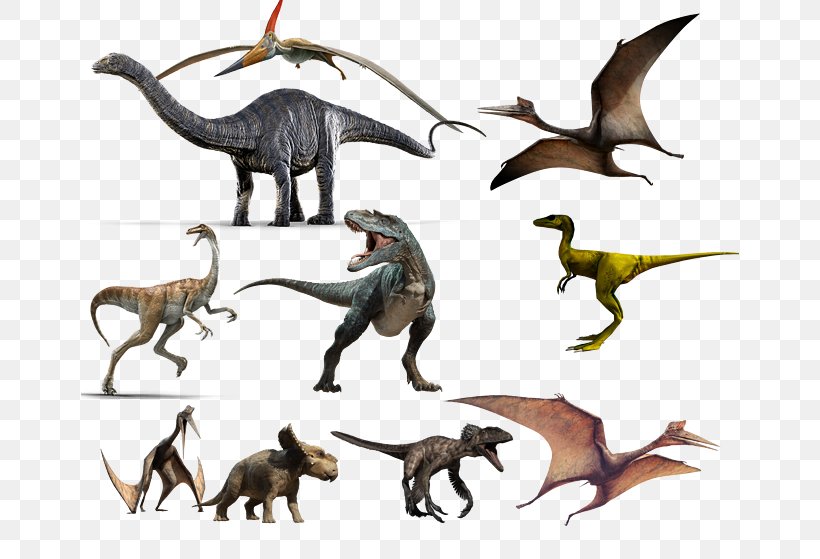 Tyrannosaurus Diplodocus Dinosaur Apatosaurus Anchiceratops, PNG, 658x559px, Tyrannosaurus, Anchiceratops, Animal Figure, Apatosaurus, Carnivoran Download Free