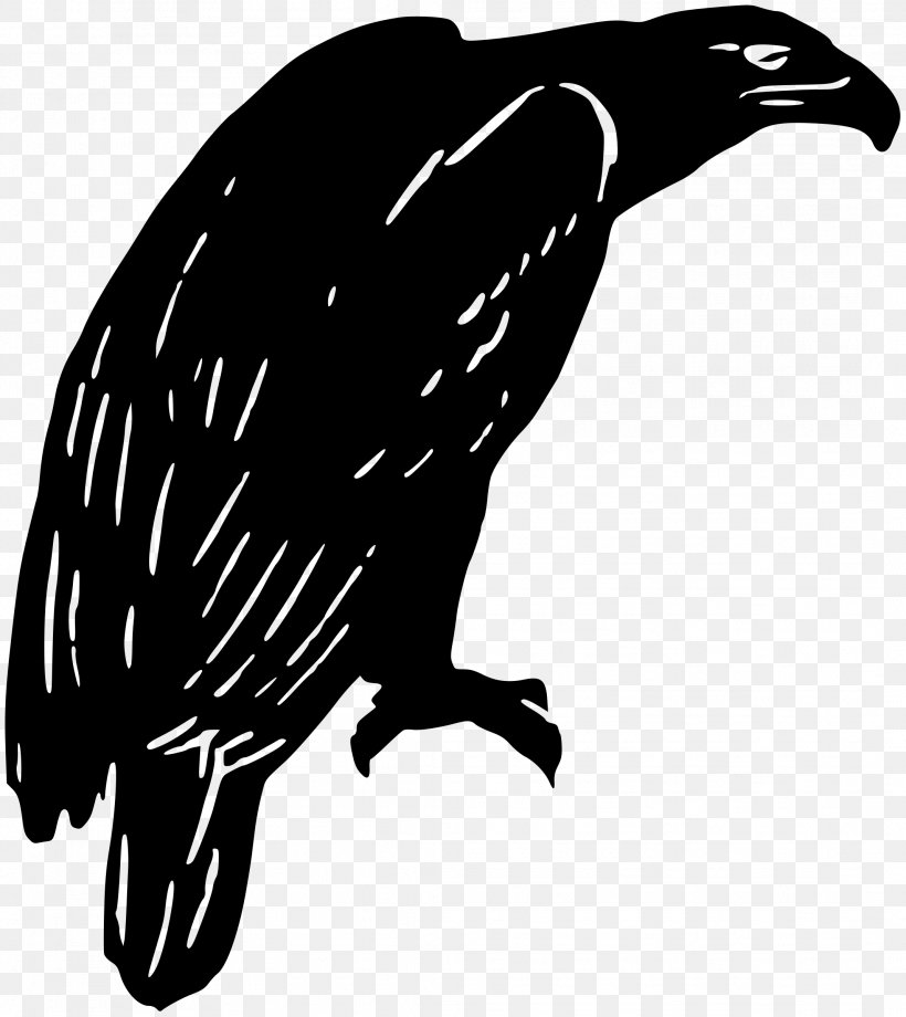Beak Silhouette Bird Clip Art, PNG, 2137x2400px, Beak, Bird, Bird Of Prey, Black And White, Cartoon Download Free