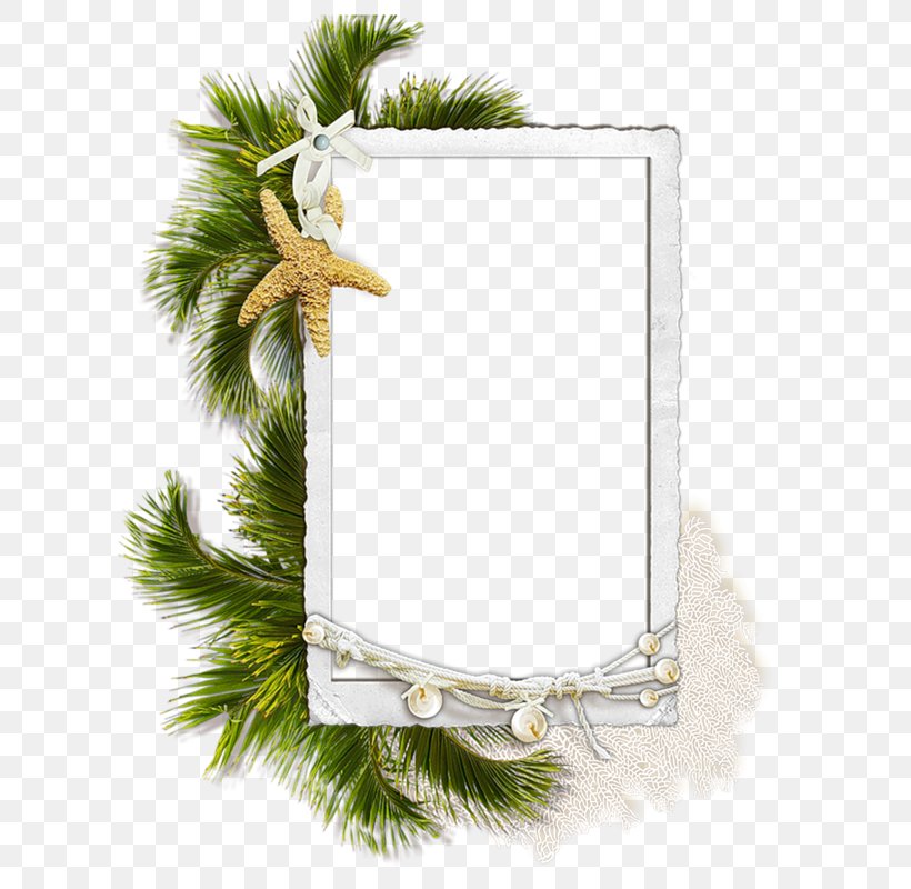 Clip Art Image Picture Frames Centerblog, PNG, 609x800px, Picture Frames, Art, Blog, Branch, Centerblog Download Free
