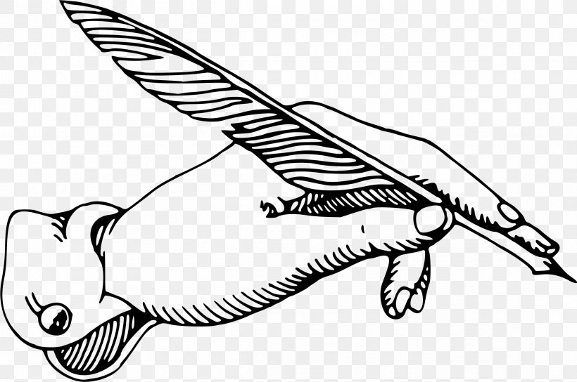 Quill Pen Drawing Clip Art, PNG, 2399x1593px, Quill, Arm, Art, Artwork, Beak Download Free