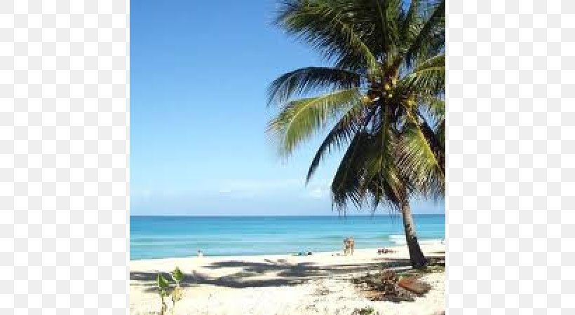 Playa Caleta Beach Vacation Hotel Package Tour, PNG, 600x450px, Beach, Arecales, Bay, Caribbean, Coast Download Free