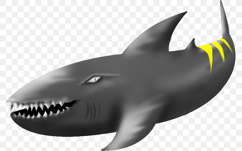 Requiem Sharks Miami Dolphins Chicago Bears NFL, PNG, 777x512px, 4 April, Requiem Sharks, Biology, Cartilaginous Fish, Chicago Bears Download Free