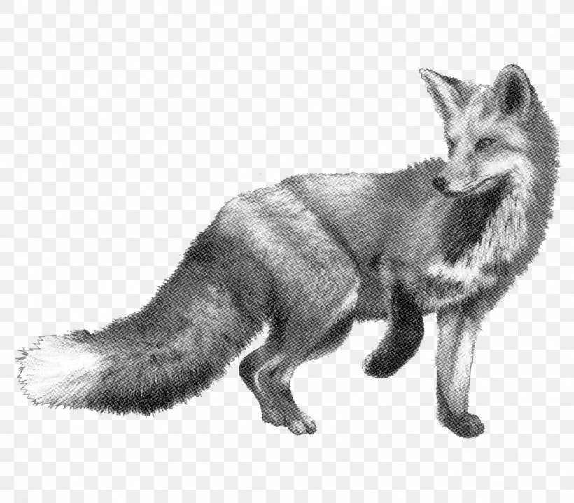 Drawing The Fox & Hounds Pencil Sketch, PNG, 1368x1200px, Drawing, Art, Bar, Black And White, Carnivoran Download Free