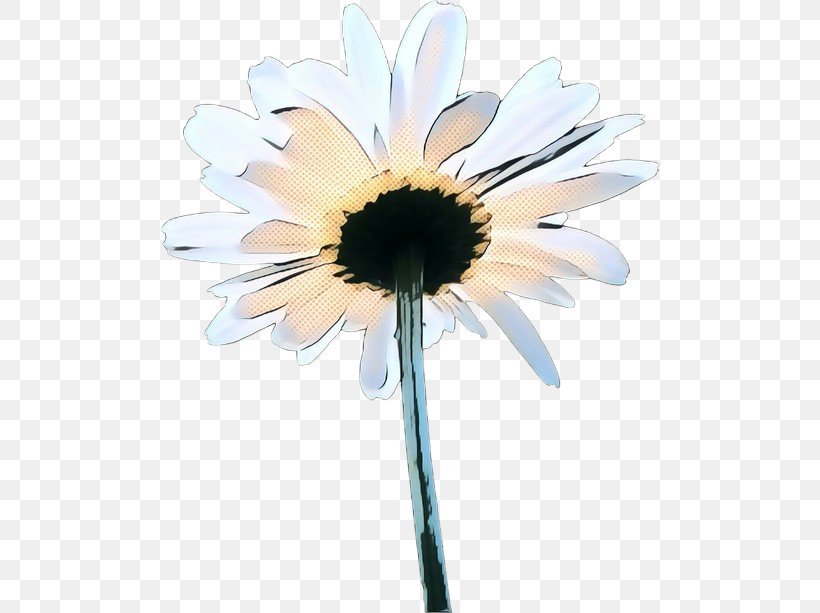 Flowers Background, PNG, 500x613px, Pop Art, Asterales, Barberton Daisy, Camomile, Chamomile Download Free