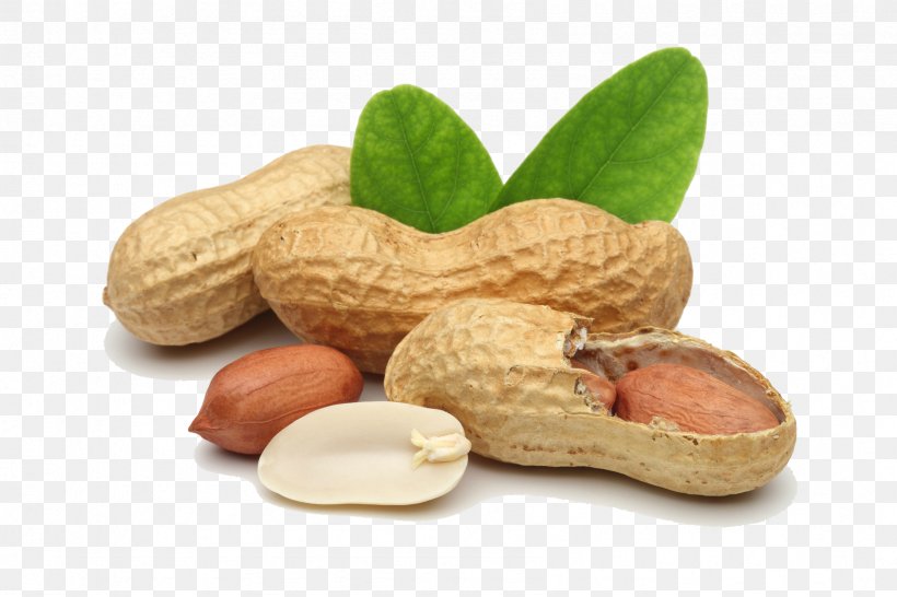 Praline Peanut Legume Dried Fruit, PNG, 1688x1125px, Praline, Commodity, Dried Fruit, Dry Roasting, Food Download Free