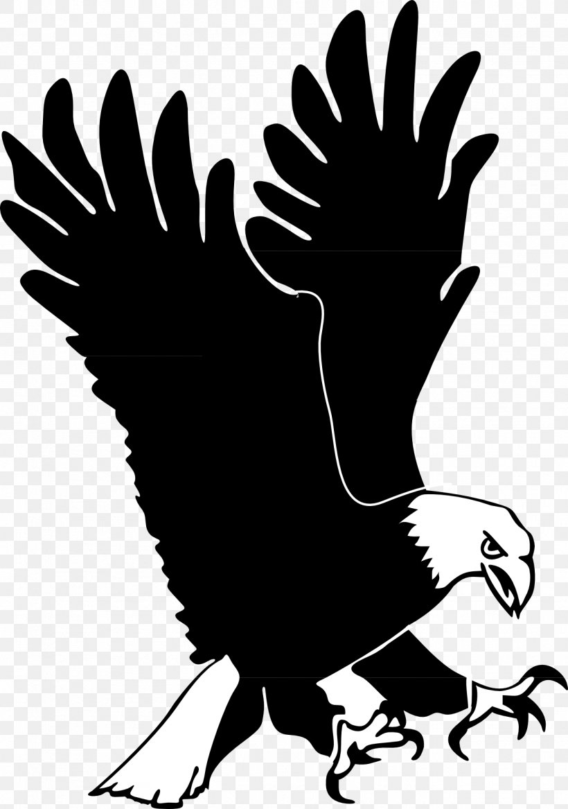 Bald Eagle Bird Golden Eagle Clip Art, PNG, 1349x1920px, Bald Eagle, American Eagle Outfitters, Art, Artwork, Beak Download Free